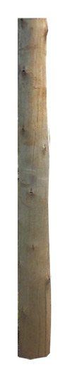 Rondins eucalyptus diamètre 75-100 mm Longueur 1,30 m